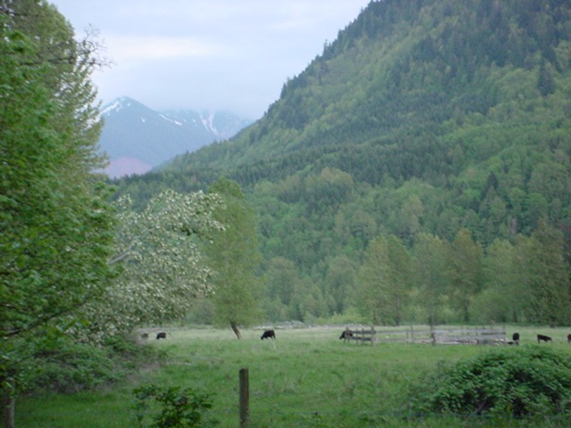 Chilliwack River Valley by the Valley Voice News May 14 2010