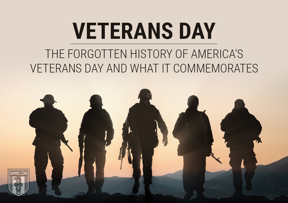 Veterans Day The Forgotten History