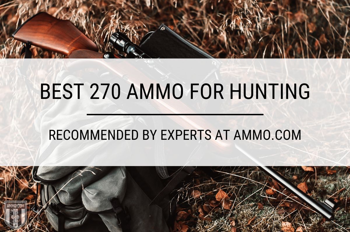 The Best 270 Ammo for Hunting