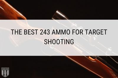 best-243-ammo-for-target-shooting