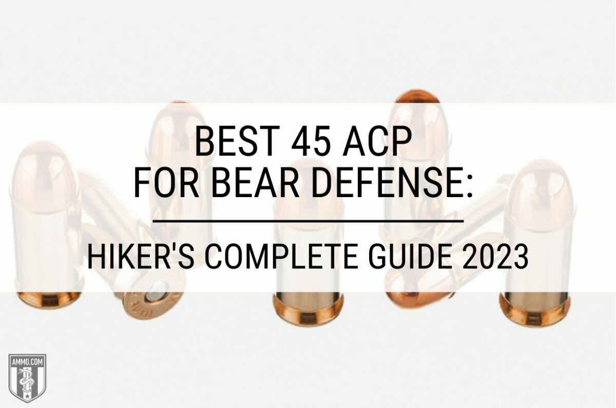 Best 45 ACP for Bear Defense
