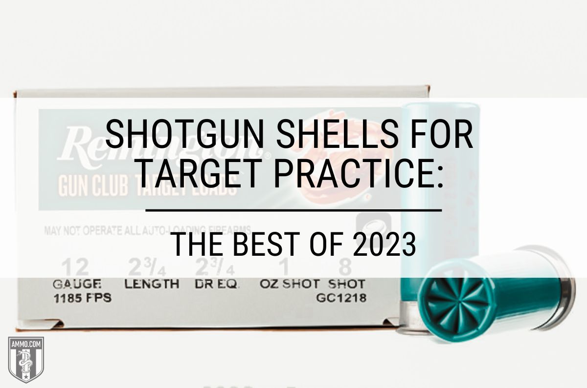 Shotgun Shells for Target Practice