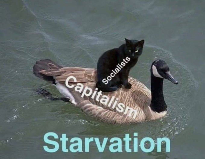 HN4bL7-XAAAY9cY.jpg