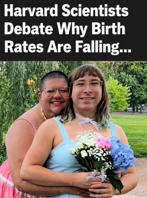 HNxMat0bgAABvLy.jpg